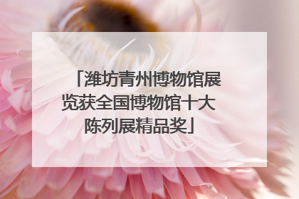 潍坊青州博物馆展览获全国博物馆十大陈列展精品奖