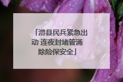 澧县民兵紧急出动 连夜封堵管涌除险保安全