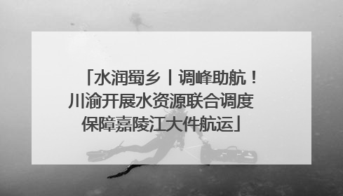水润蜀乡丨调峰助航！川渝开展水资源联合调度保障嘉陵江大件航运