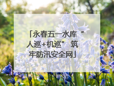 永春五一水库“人巡+机巡” 筑牢防汛安全网