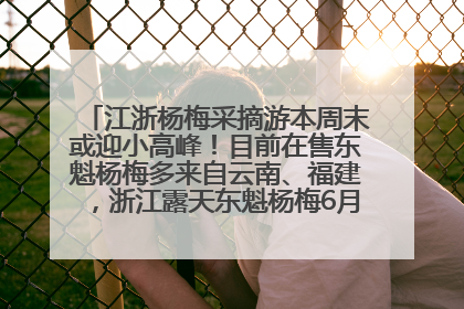江浙杨梅采摘游本周末或迎小高峰！目前在售东魁杨梅多来自云南、福建，浙江露天东魁杨梅6月中旬大量上市