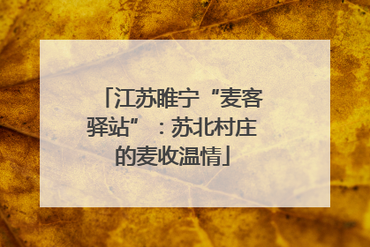 江苏睢宁“麦客驿站”：苏北村庄的麦收温情