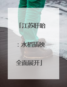 江苏盱眙：水稻插秧全面展开