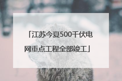 江苏今夏500千伏电网重点工程全部竣工