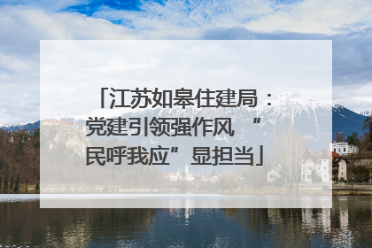 江苏如皋住建局：党建引领强作风 “民呼我应”显担当
