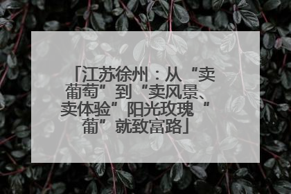 江苏徐州：从“卖葡萄”到“卖风景、卖体验”阳光玫瑰“葡”就致富路