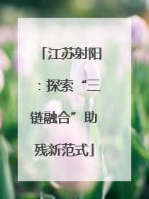 江苏射阳：探索“三链融合”助残新范式
