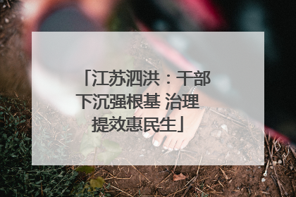 江苏泗洪：干部下沉强根基 治理提效惠民生