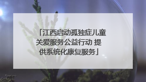 江西启动孤独症儿童关爱服务公益行动 提供系统化康复服务