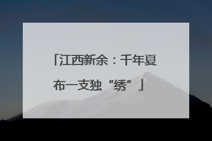 江西新余：千年夏布一支独“绣”