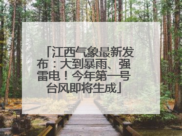 江西气象最新发布：大到暴雨、强雷电！今年第一号台风即将生成