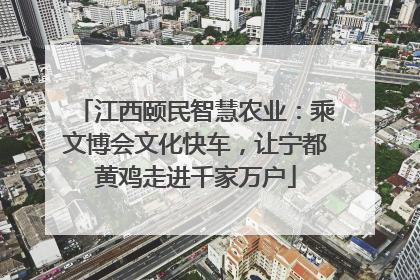 江西颐民智慧农业：乘文博会文化快车，让宁都黄鸡走进千家万户