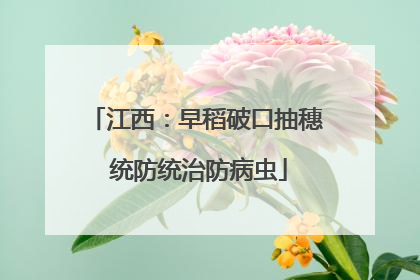 江西：早稻破口抽穗 统防统治防病虫