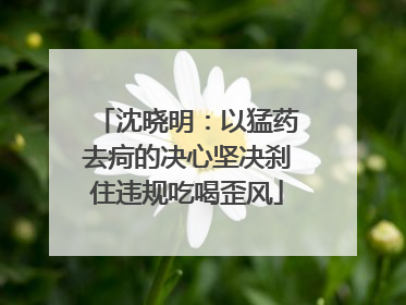 沈晓明：以猛药去疴的决心坚决刹住违规吃喝歪风