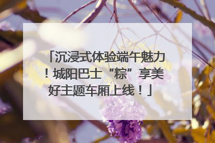 沉浸式体验端午魅力！城阳巴士“粽”享美好主题车厢上线！