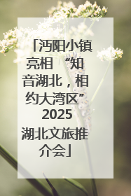 沔阳小镇亮相 “知音湖北，相约大湾区” 2025湖北文旅推介会