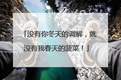 没有你冬天的调解，就没有我春天的菠菜！