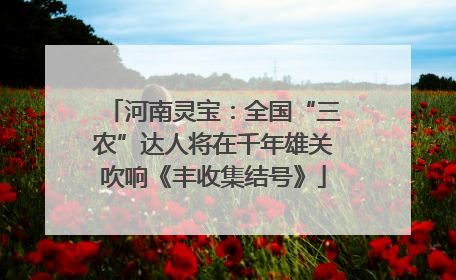河南灵宝：全国“三农”达人将在千年雄关吹响《丰收集结号》