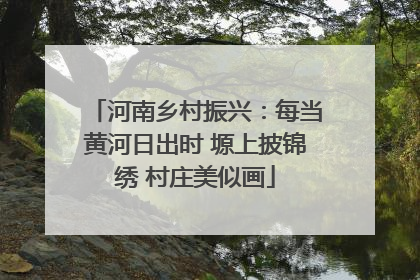 河南乡村振兴：每当黄河日出时 塬上披锦绣 村庄美似画