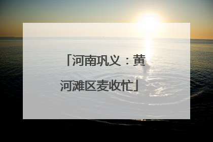 河南巩义：黄河滩区麦收忙