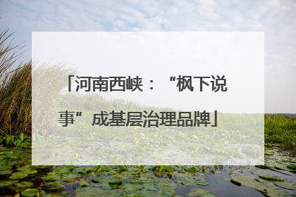 河南西峡：“枫下说事”成基层治理品牌