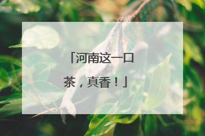 河南这一口茶，真香！