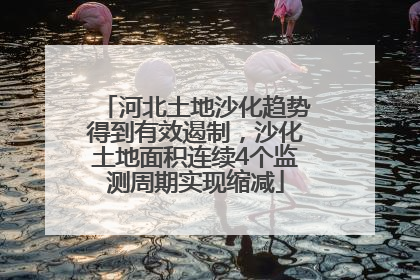 河北土地沙化趋势得到有效遏制，沙化土地面积连续4个监测周期实现缩减