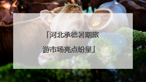 河北承德暑期旅游市场亮点纷呈