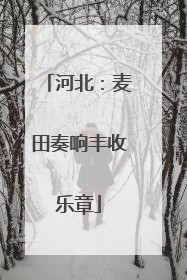 河北：麦田奏响丰收乐章