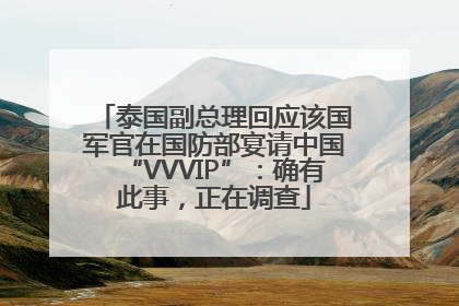 泰国副总理回应该国军官在国防部宴请中国“VVVIP”：确有此事，正在调查