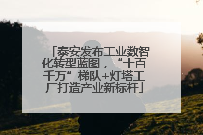 泰安发布工业数智化转型蓝图，“十百千万”梯队+灯塔工厂打造产业新标杆