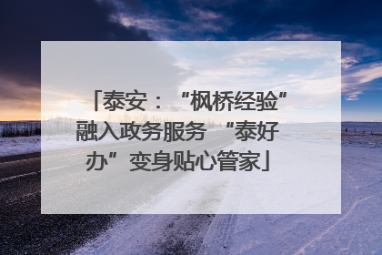 泰安：“枫桥经验”融入政务服务 “泰好办”变身贴心管家