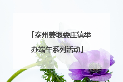 泰州姜堰娄庄镇举办端午系列活动