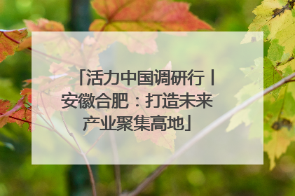 活力中国调研行丨安徽合肥：打造未来产业聚集高地