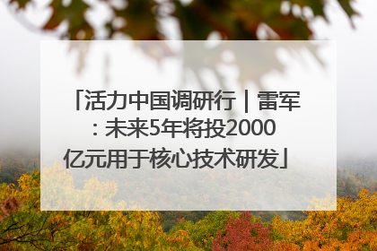 活力中国调研行｜雷军：未来5年将投2000亿元用于核心技术研发