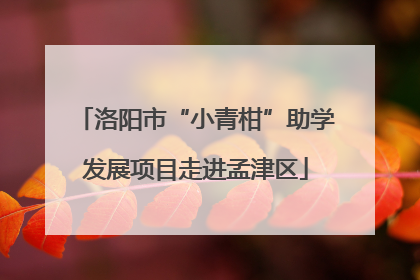 洛阳市“小青柑”助学发展项目走进孟津区