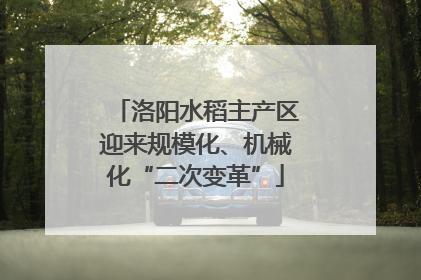 洛阳水稻主产区迎来规模化、机械化“二次变革”
