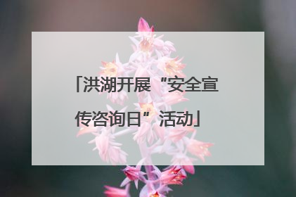 洪湖开展“安全宣传咨询日”活动