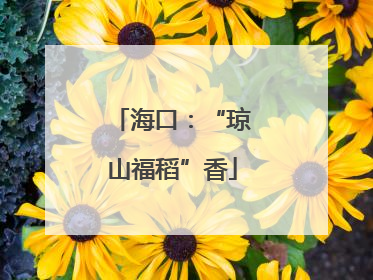 海口：“琼山福稻”香