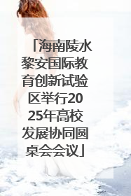 海南陵水黎安国际教育创新试验区举行2025年高校发展协同圆桌会会议
