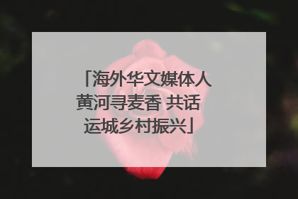海外华文媒体人黄河寻麦香 共话运城乡村振兴