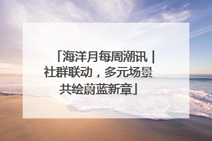 海洋月每周潮讯｜社群联动，多元场景共绘蔚蓝新章