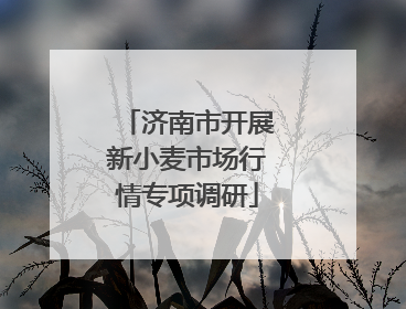 济南市开展新小麦市场行情专项调研