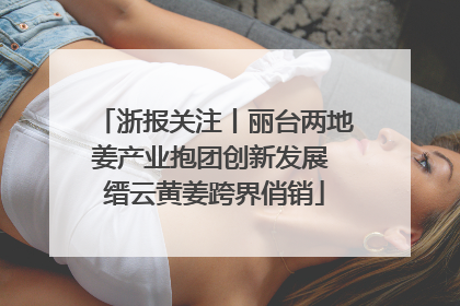 浙报关注丨丽台两地姜产业抱团创新发展 缙云黄姜跨界俏销