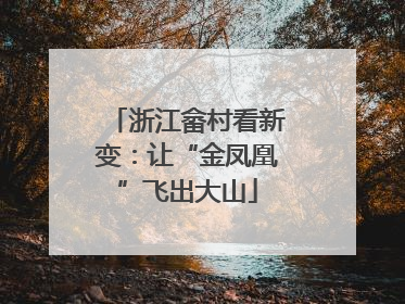浙江畲村看新变：让“金凤凰”飞出大山