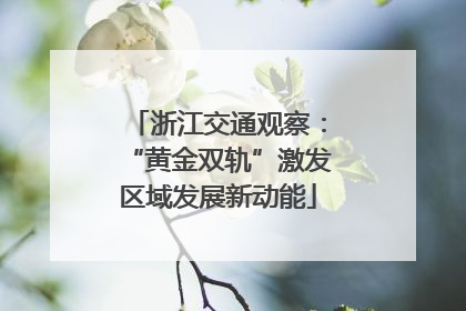 浙江交通观察：“黄金双轨”激发区域发展新动能