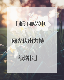 浙江嘉兴电网光伏出力持续增长