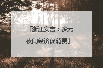 浙江安吉：多元夜间经济促消费