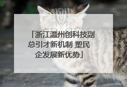 浙江温州创科技副总引才新机制 塑民企发展新优势