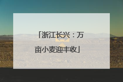 浙江长兴：万亩小麦迎丰收